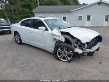  Salvage Dodge Charger