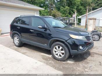  Salvage Kia Sorento