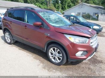  Salvage Ford Escape