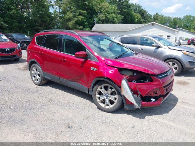  Salvage Ford Escape