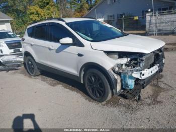  Salvage Ford Escape