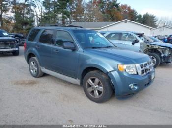  Salvage Ford Escape