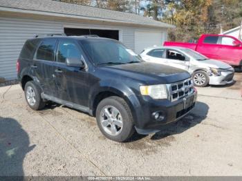  Salvage Ford Escape