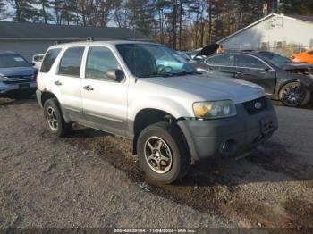  Salvage Ford Escape