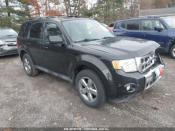  Salvage Ford Escape