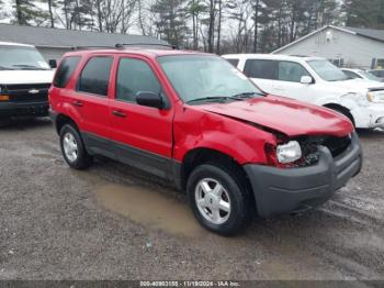  Salvage Ford Escape