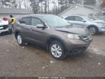  Salvage Honda CR-V