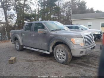  Salvage Ford F-150