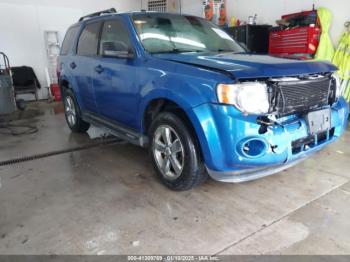  Salvage Ford Escape