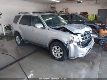  Salvage Ford Escape