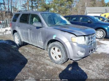  Salvage Ford Escape