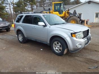  Salvage Ford Escape