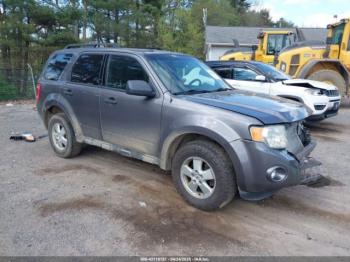  Salvage Ford Escape