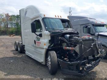  Salvage Freightliner Cascadia 125