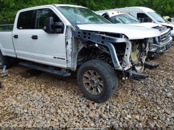  Salvage Ford F-250