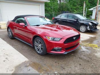  Salvage Ford Mustang