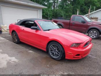  Salvage Ford Mustang