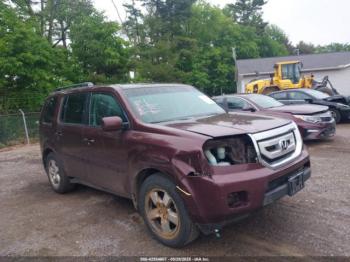  Salvage Honda Pilot