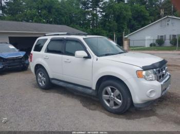  Salvage Ford Escape