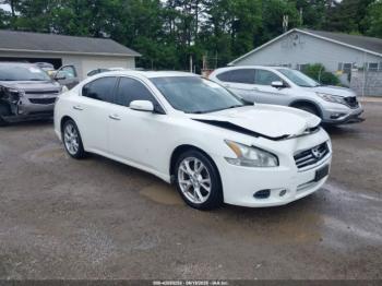  Salvage Nissan Maxima