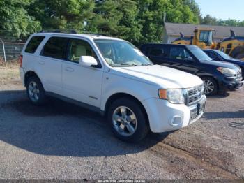  Salvage Ford Escape