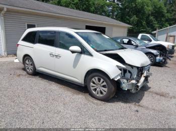  Salvage Honda Odyssey