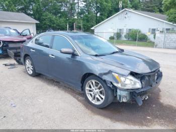  Salvage Nissan Maxima