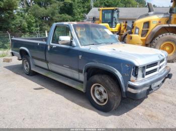  Salvage Dodge Dakota