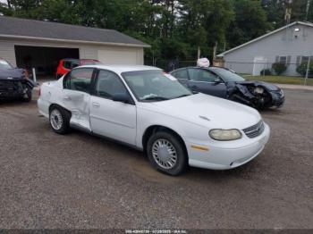  Salvage Chevrolet Classic