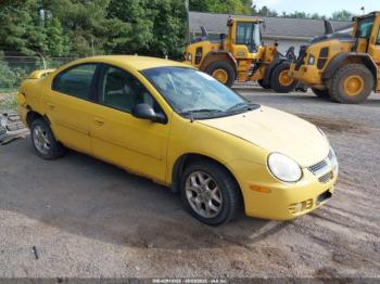  Salvage Dodge Neon