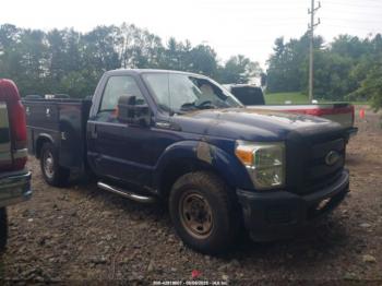  Salvage Ford F-250