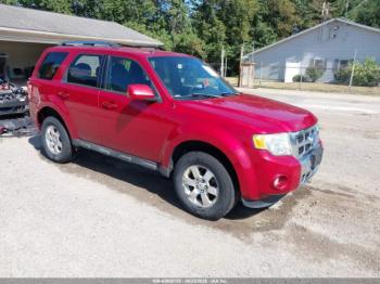  Salvage Ford Escape