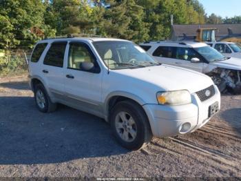  Salvage Ford Escape