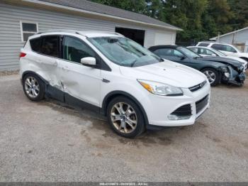  Salvage Ford Escape