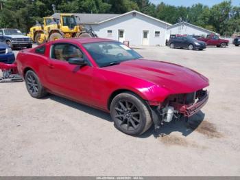  Salvage Ford Mustang