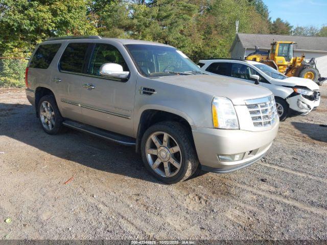  Salvage Cadillac Escalade