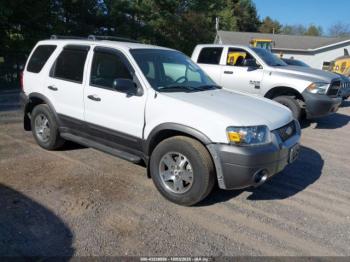  Salvage Ford Escape
