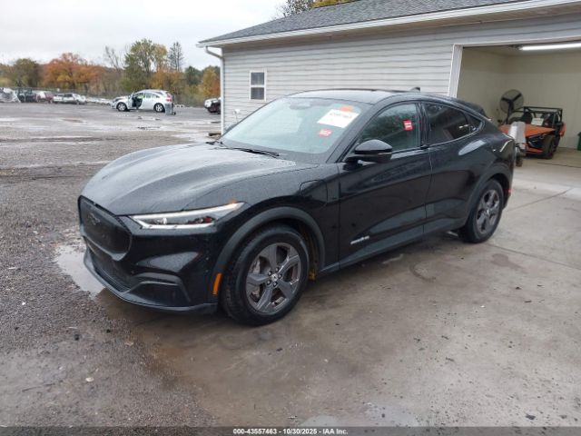 Ford Mustang Select Image 6