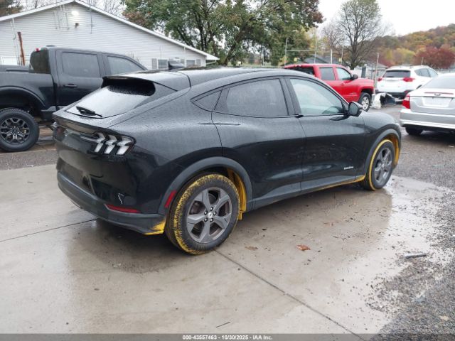 Ford Mustang Select Image 4