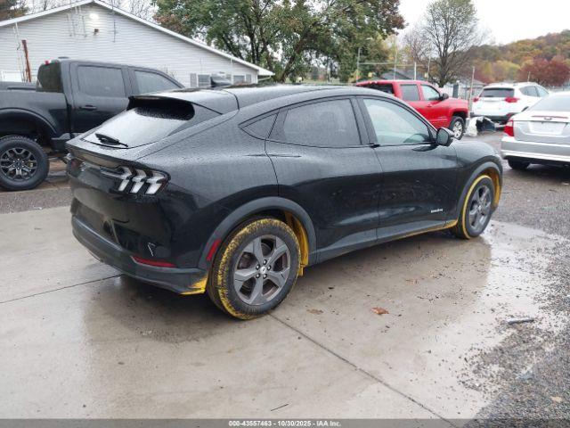 Ford Mustang Select Image 4