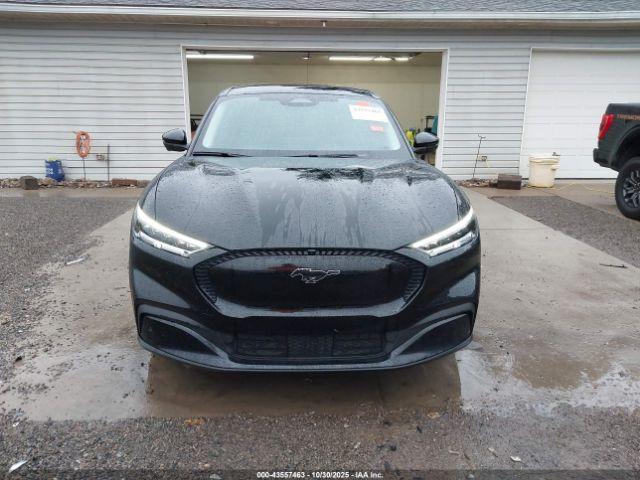 Ford Mustang Select Image 9