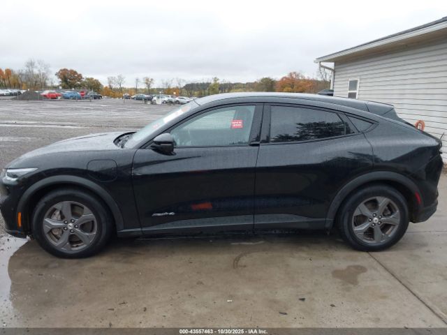 Ford Mustang Select Image 3