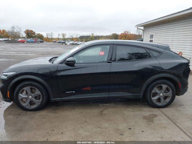 Ford Mustang Select Image 3