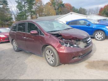  Salvage Honda Odyssey