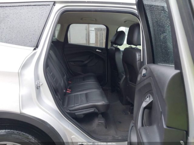 Ford Escape Titanium Image 6