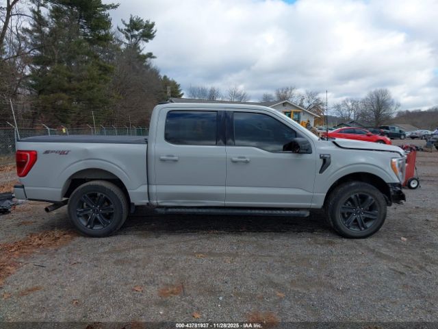 Ford F-150 Xlt Image 3