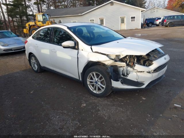 Ford Focus Se Image 1