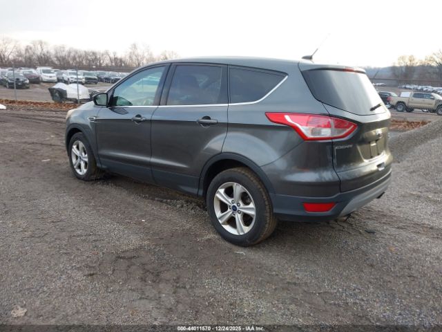 Ford Escape Se Image 7