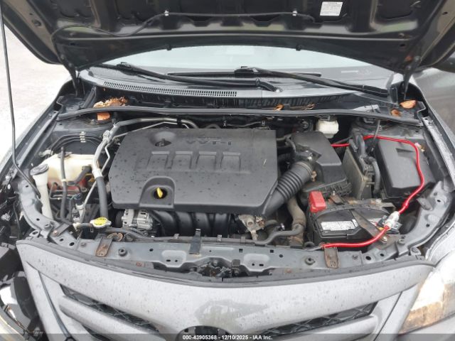 Toyota Corolla S Image 5