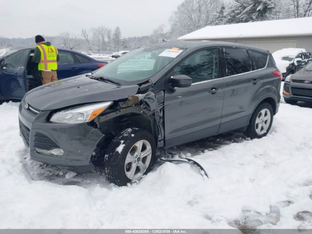 Ford Escape Se Image 8